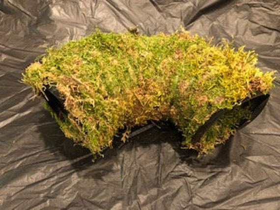 Moss Tube Hide for Reptile Terrarium 3D Printed Reptile Hide -  in 2023