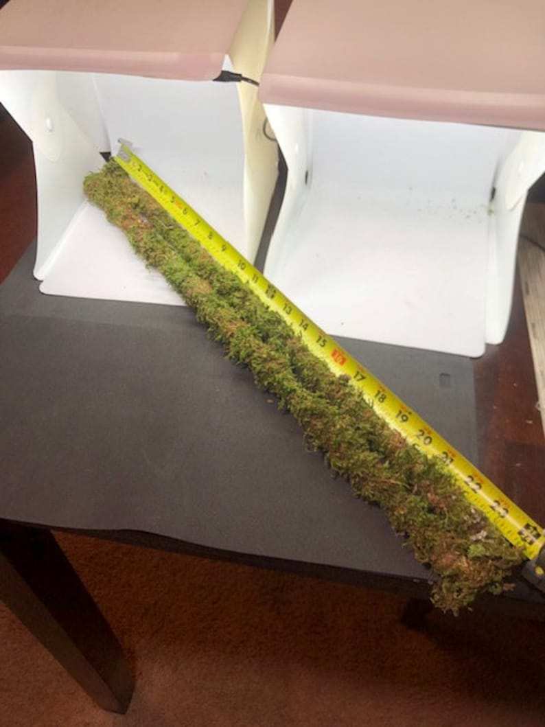 24 in Organic Sheet Mossed 1/4 in Poles for Your Terrariums or Plants ...
