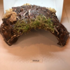 Arboreal Attitudes Weighted Ground Hides For Terrariums And Cages For Reptiles