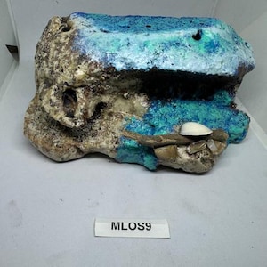 Magnetic Rock Ledges for Terrariums and Cages Works for all sorts of Reptiles (Ocean-Limited Edition)