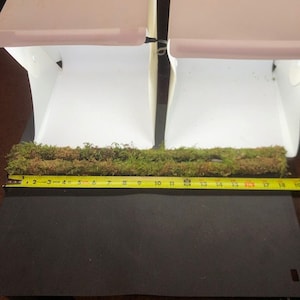 18 in Organic Sheet Mossed 1/4 in Poles For Your Terrariums Or Plants Set Of 2