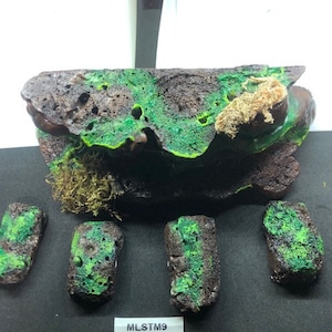 Reptile Medium Sub Tropical  Magnetic Rock Ledges For Terrariums And Cages