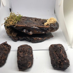 Small Desert Reptile Magnetic Rock Ledges For Terrariums And Cages