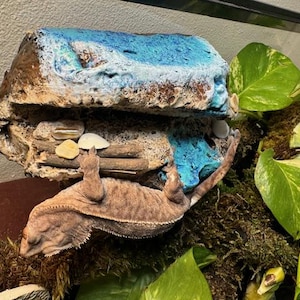 Magnetic Rock Ledges for Terrariums and Cages Works for all sorts of Reptiles (Ocean Limited Edition)