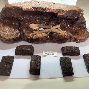 Extra Large Desert Magnetic Rock Ledges For Terrariums And Cages