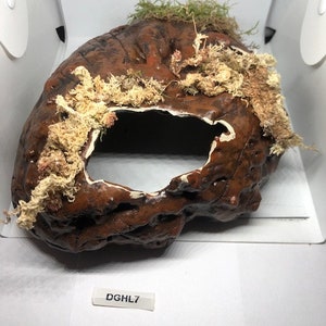 Arboreal Attitudes Large Reptile Weighted Ground Hides For Terrariums
