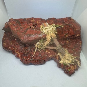 May include: A red, textured, rock-like structure with a brown branch and dried moss. The rock is labeled "LSLM6".