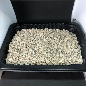 Organic Small Pumice Chunks For Your Soil Planting And Reptile Terrariums