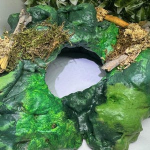 May include: A handmade, green and moss-covered terrarium hideaway with a central opening. The hideaway is adorned with natural moss, small twigs, and a light-colored interior, creating a naturalistic environment for small pets.