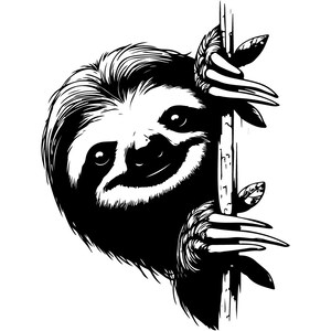 May include: Black and white illustration of a sloth peeking around a tree trunk. The sloth has a friendly expression and is looking directly at the viewer.