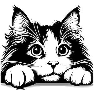 Puede incluir: Ilustración en blanco y negro de un gato asomándose por encima de una superficie con sus patas apoyadas en la superficie. El gato tiene ojos grandes y redondos y una apariencia esponjosa.