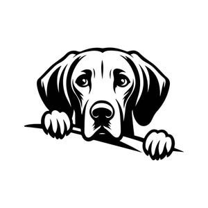 Peeking Vizsla Schwarz & Weiß Vektor-Datei für Lasercut und digitaler Download Design für Tierliebhaber