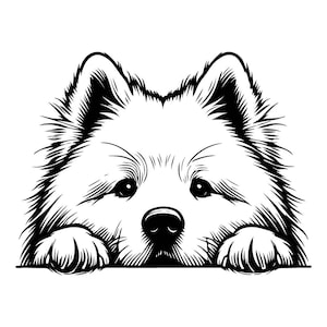 Hund SVG | Pieken Samojede Hund Vektor-Datei für Laser schneiden | Schwarz & Weiß Digitaler Download | Haustier-Liebhaber-Dekor