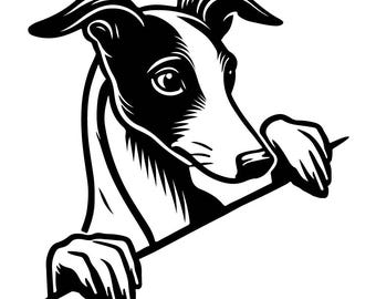 Op de afbeelding: Zwart-witte illustratie van een hond die om een hoek kijkt. De hond heeft een lange snuit en slappe oren.