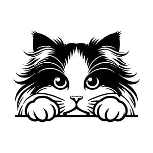 May include: Black and white illustration of a fluffy cat peeking over a surface with its paws in front of its face.