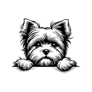 Yorkshire Hund SVG | Spähender Yorkshire Hund Schwarz & Weiß Vektor-Datei für Laserschneiden | Crafting-Design-Vorlage