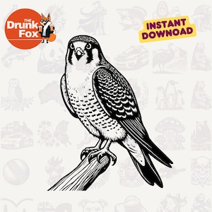 Hooded Falcon on Perch SVG – Classic Falconry Pose Silhouette