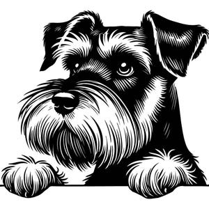 Schnauzer SVG - glurenschnauzer zwart-wit vectorbestand voor lasersnijden - ambachtelijk DIY-project, Instant Download