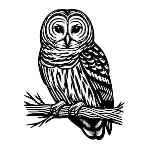 Könnte beinhalten: Schwarz-Weiß-Illustration einer Eule, die auf einem Ast sitzt. Die Eule hat detaillierte Federmuster und große, runde Augen. Das Kunstwerk ist im Linolschnitt-Stil gehalten, mit kräftigen Linien und einer minimalistischen Ästhetik.