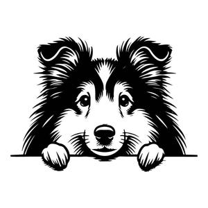Hund SVG - Peeking Shetland Sheepdog Schwarz & Weiß Vektor-Datei für Laserschnitt, druckbare Kunst, Geschenk für Tierliebhaber