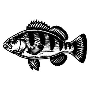 Yellow Perch Fish SVG 1 | Fishing SVG | Black & White Vector File for Laser Cutting | Unique Fish Designs for DIY Projects
