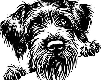 Könnte beinhalten: Schwarzweiß-Illustration eines Deutsch-Drahthaar-Kopfes und Pfoten, die über eine Oberfläche schauen. Der Hund hat einen langen, buschigen Bart und einen ernsten Ausdruck.