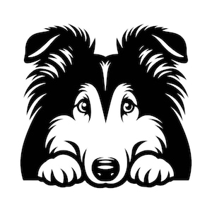 Hund SVG - Peeking Collie Hund Schwarz & Weiß Vektor-Datei für Laserschneiden, digitaler Download, Handwerksprojekte, Cricut, Silhouette
