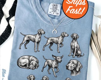 T-shirt pour chien Vizsla, t-shirt graphique 9 poses, cadeau pour amoureux des chiens, art canin couleurs confort, vêtements pour propriétaire d'animal de compagnie, chemise pour amoureux de Vizsla