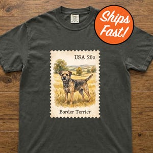 May include: A charcoal gray short-sleeve t-shirt featuring a graphic print of a postage stamp. The stamp design shows a Border Terrier dog in a grassy field with the text USA 20c and Border Terrier printed on the cream-colored background.