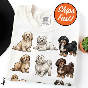 Havanese Dog Poses T-Shirt, Colorful Dog Art Tee, Cute Pet Lover Gift, Comfort Colors Graphic Dog Shirt, Fun Havanese Design image 3