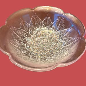 Hoya Cordial Glass - Etsy