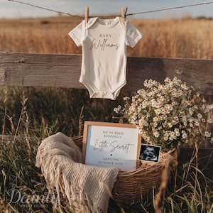May include: Cream-colored baby onesie with the name "Williams" printed on it, hanging on a clothesline. A wooden fence and tall grass are in the background. A basket holds a blanket, flowers, a sign that reads "We've been keeping a Little Secret" and a sonogram.