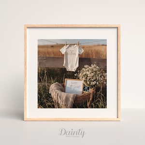 May include: A framed print with a baby announcement theme. A white onesie with the name "Williams" hangs above a basket with a blanket, flowers, and a sign that reads "Little Secret". An ultrasound image is also visible.