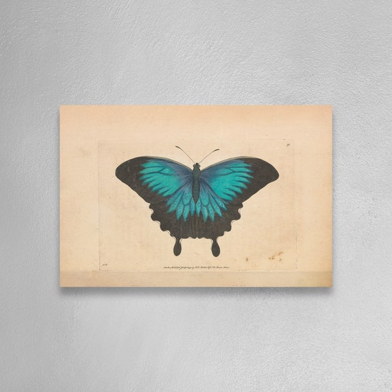 Blue Butterfly Painting Animal Wall Art Animal Printing Etsy