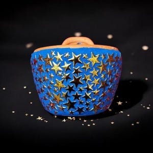 May include: A blue ceramic planter with a star pattern in gold and red. The planter is round and has a wide opening.
