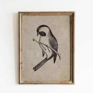 Chickadee Painting, Bird Prints Wall Art, Chickadee Wall Art, Vintage Bird Painting, Chickadee Printable, Vintage Wall Art, Bird Art Print