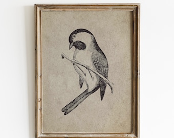 Pintura vintage de carbonero, arte mural de aves (descarga digital)