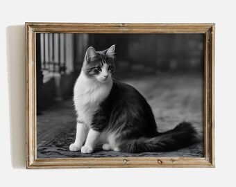 Vintage Katzen Portrait Druck, schwarz weiss Wand Kunst (Digitaler Download)
