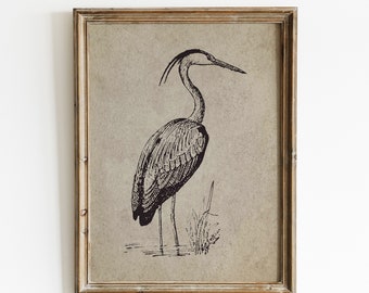 Vintage Heron Bird Print, Illustration Art (Digital Download)