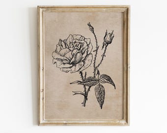 ヴィンテージローズ絵画プリント、花柄ウォールアート（デジタルダウンロード）