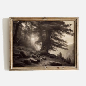 Vintage Forest Landscape Painting, Rustic Landscape Print, Old Tree Print, Tree Wall Art Print, Forest Wall Art Digital, Vintage Wall Art