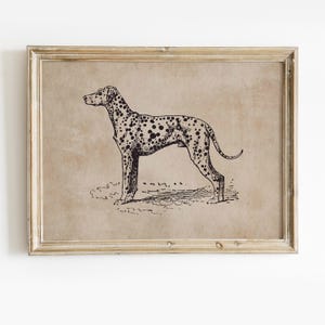 Vintage Dalmatian Wall Art, Dog Art Print Download, Dog Wall Art Printable, Dalmatian Dog Print, Vintage Animal Prints, Dog Digital Portrait