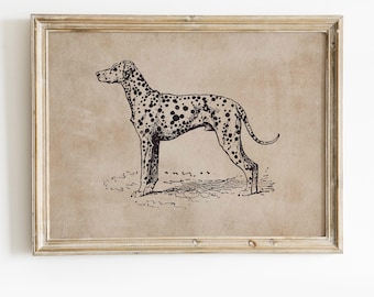 Vintage Dalmatian Dog Art Print, Animal Portrait (Digital Download)