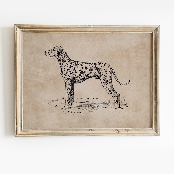 Vintage Dalmatian Dog Art Print, Animal Portrait (Digital Download)