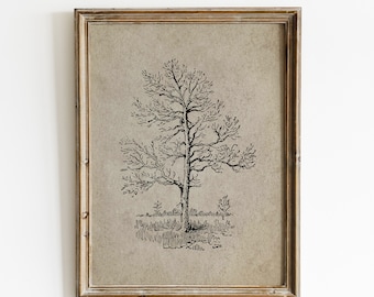 Vintage boomschilderij, botanische muurkunst (digitale download)