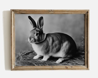 Vintage Rabbit Print, Black And White Prints, Rabbit Painting Print, Nursery Wall Art Printable, Rabbit Wall Art Digital Download