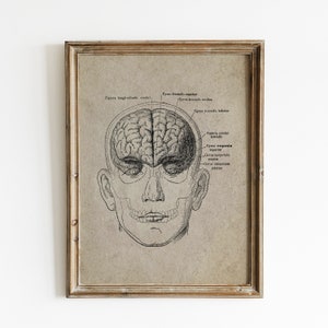 Human Brain Painting, Brain Wall Art, Anatomy Printable, Brain Print, Neuroscience Art Print, Neuroanatomy Art, Brain Art Printable