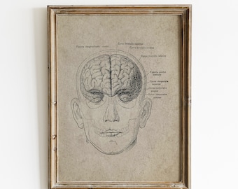 Vintage menselijke hersenen anatomie kunstafdruk (digitale download)