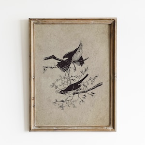 Sparrow Painting, Bird Wall Art Print, Sparrow Wall Art, Sparrow Print, Vintage Bird Prints, Vintage Wall Art, Bird Prints Download, Sparrow