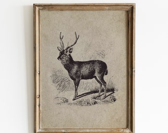 Vintage Hirsch Illustration Druck, Tier Wandkunst (Digitaler Download)